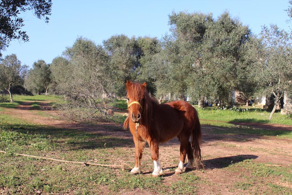 Agriturismo Tenuta Sant'Antonio Cerfignano Eksteriør billede